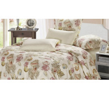 Постельное белье евростандарт B-156