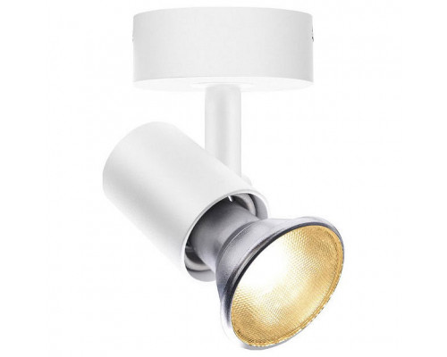 Спот SLV Spot 1002073