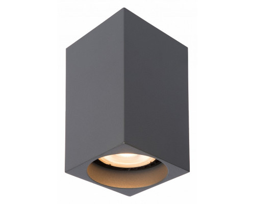 Накладной светильник Lucide Delto 09916/06/36