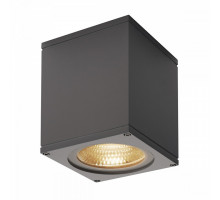 Накладной светильник SLV Big Theo 234525