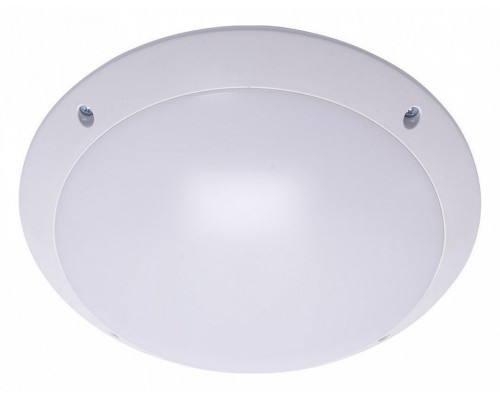 Накладной светильник Feron Альтан 41359