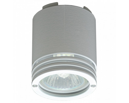 Накладной светильник Imex IL.0001 IL.0001.0110