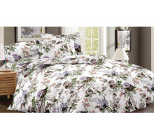 Постельное белье семейное Art Color 058-AC