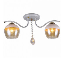 Накладной светильник TopLight Bertha TL1254D-02BG