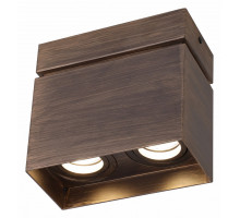 Накладной светильник Favourite Retro 2794-2U