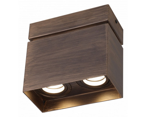 Накладной светильник Favourite Retro 2794-2U