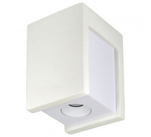 Накладной светильник Loft it Architect OL1073-WW