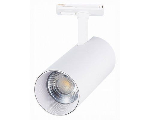 Светильник на штанге ST-Luce Mono