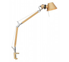 Настольная лампа офисная Favourite Legend 2840-1T