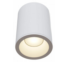 Накладной светильник Maytoni Antares C029CL-01W