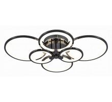 Потолочная люстра EVOLED Leto 