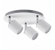 Спот Paulmann Tube 66719