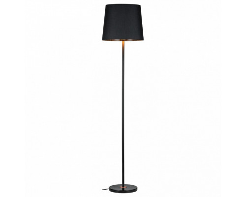 Торшер Paulmann Enja 79612