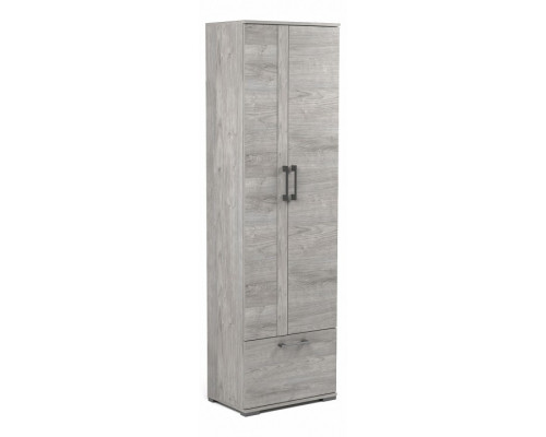 Шкаф платяной Денвер Д-2