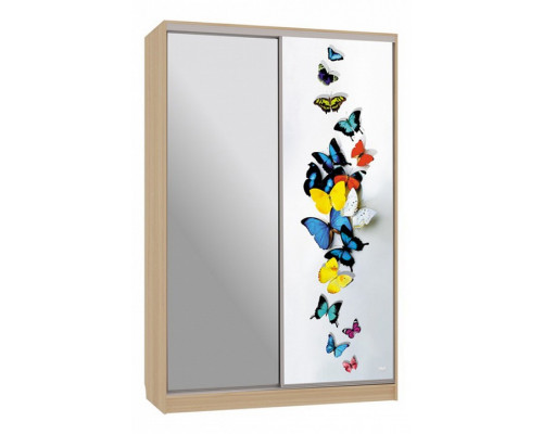 Шкаф-купе Рио 9-600 88