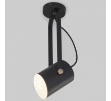 Светильник на штанге Eurosvet Italio 20092/1