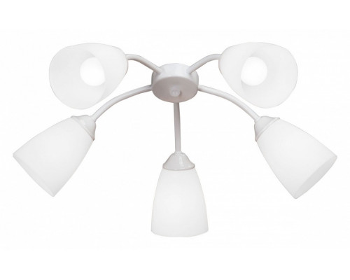 Потолочная люстра Vitaluce V3184 V3187-0/5PL