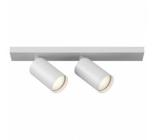 Светильник на штанге Maytoni Focus 1 C051CL-2W