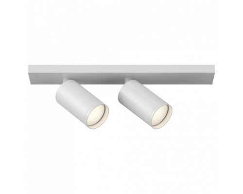 Светильник на штанге Maytoni Focus 1 C051CL-2W