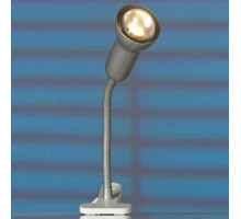 Настольная лампа офисная Lussole Warshawa 