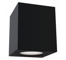 Накладной светильник Maytoni Alfa C013CL-01B