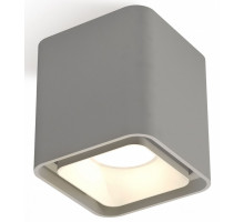 Накладной светильник Ambrella Xs7834 XS7842001