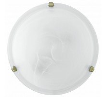 Накладной светильник Eglo ПРОМО Salome 7902