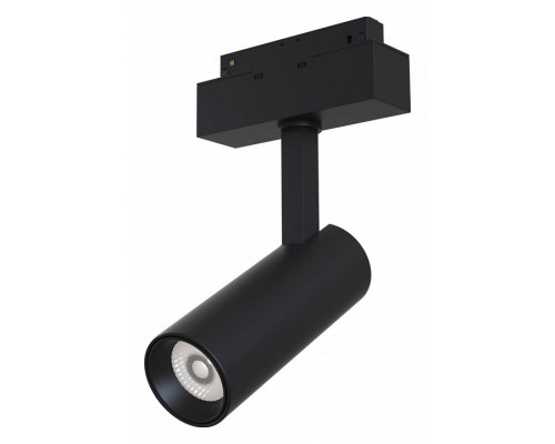 Светильник на штанге Maytoni Track lamps TR019-2-10W3K-B
