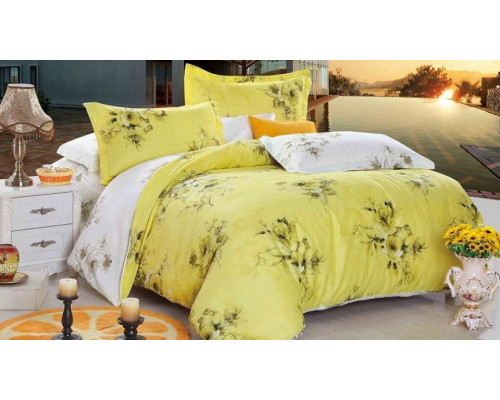 Постельное белье двуспальное C-166