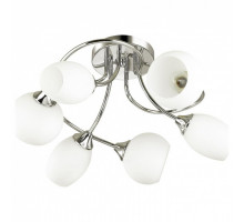 Потолочная люстра Lumion Alaxis 4552/6C