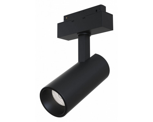 Светильник на штанге Maytoni Track lamps TR019-2-15W4K-B
