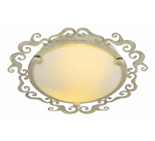 Накладной светильник Arte Lamp Riccioli A1060PL-2WG