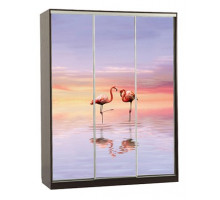 Шкаф-купе Бассо 7-600 19