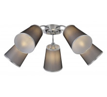 Потолочная люстра EVOLUCE Maleonte SLE103002-05