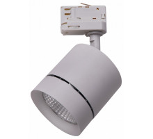 Светильник на штанге Lightstar Canno 301592