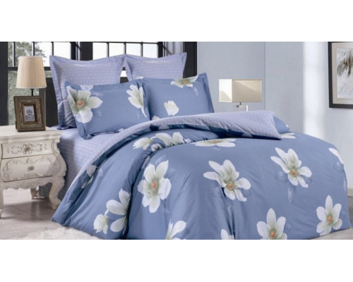 Постельное белье евростандарт Вальтери С-350