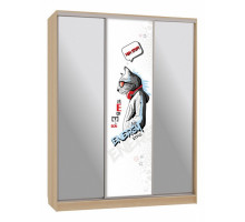 Шкаф-купе Бассо 9-600 энерджи