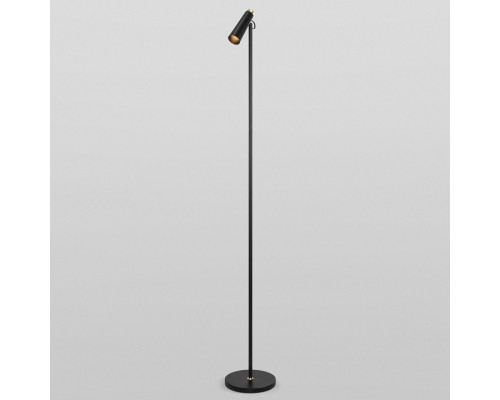 Торшер Eurosvet Joel 80430/1 черный/золото