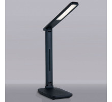Настольная лампа офисная Elektrostandard Pele a044006