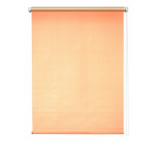 Штора рулонная (57x175 см) Плайн