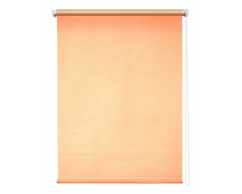 Штора рулонная (57x175 см) Плайн