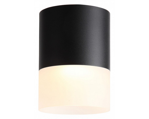 Накладной светильник ST-Luce Ottu