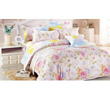 Постельное белье евростандарт CL-167