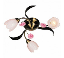 Потолочная люстра Omnilux Champsaur OML-38507-03