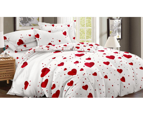 Постельное белье семейное Art Color 054-AC