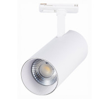 Светильник на штанге ST-Luce Mono 