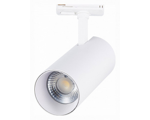 Светильник на штанге ST-Luce Mono