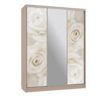 Шкаф-купе Бассо 10-600 розы