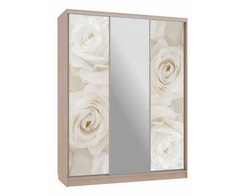 Шкаф-купе Бассо 10-600 розы