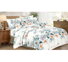 Постельное белье евростандарт Art Color 067-AC